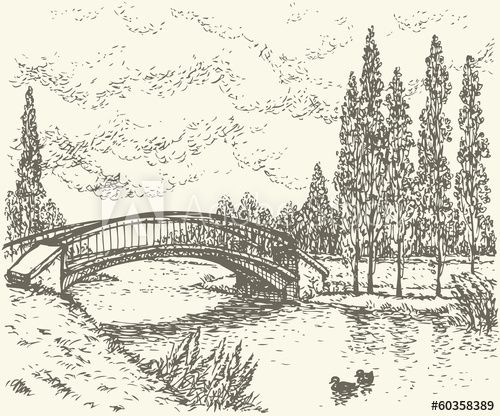 500x416 Vector Landscape Sketch Of Park Bridge Over Lake Bridge - Lake Line Drawing