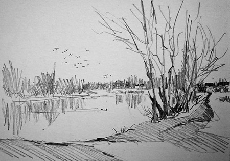 450x316 Pencil Sketch Of Birds - Lake Pencil Drawing