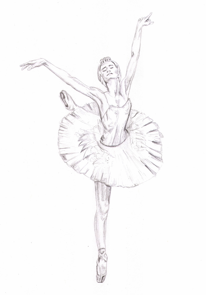 698x1000 Swan Lake Pencil Drawing Original Art For Sale - Lake Pencil Drawing