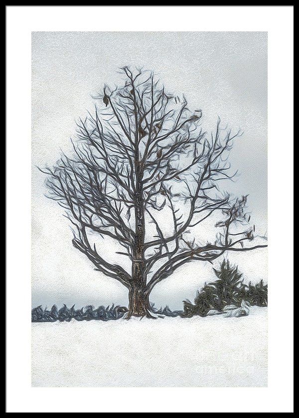 600x838 colored pencil drawing flozen lake, climate change at southern - Lake Pencil Drawing