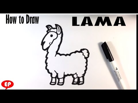 480x360 How To Draw A Lama - Lama Drawing