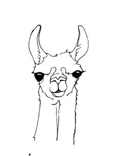 236x305 best llama drawing images llama drawing, llamas, drawings - Lama Drawing