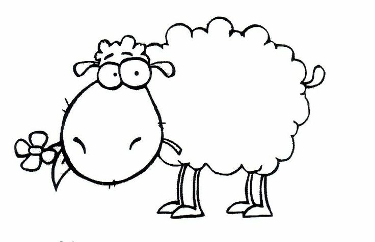 736x476 Sheep Drawing Free Download - Lamb Cartoon Drawing