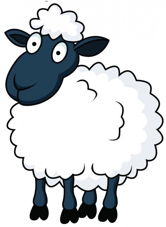 570x780 funny eid ul adha sheep cartoon picture new crafts and more - Lamb Cartoon Drawing