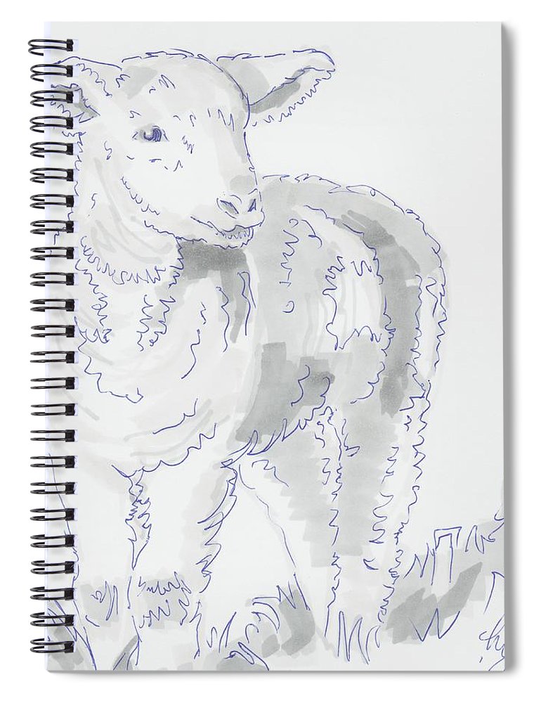 770x1000 Lamb Drawing Using Marker Pen Spiral Notebook For Sale - Lamb Drawing