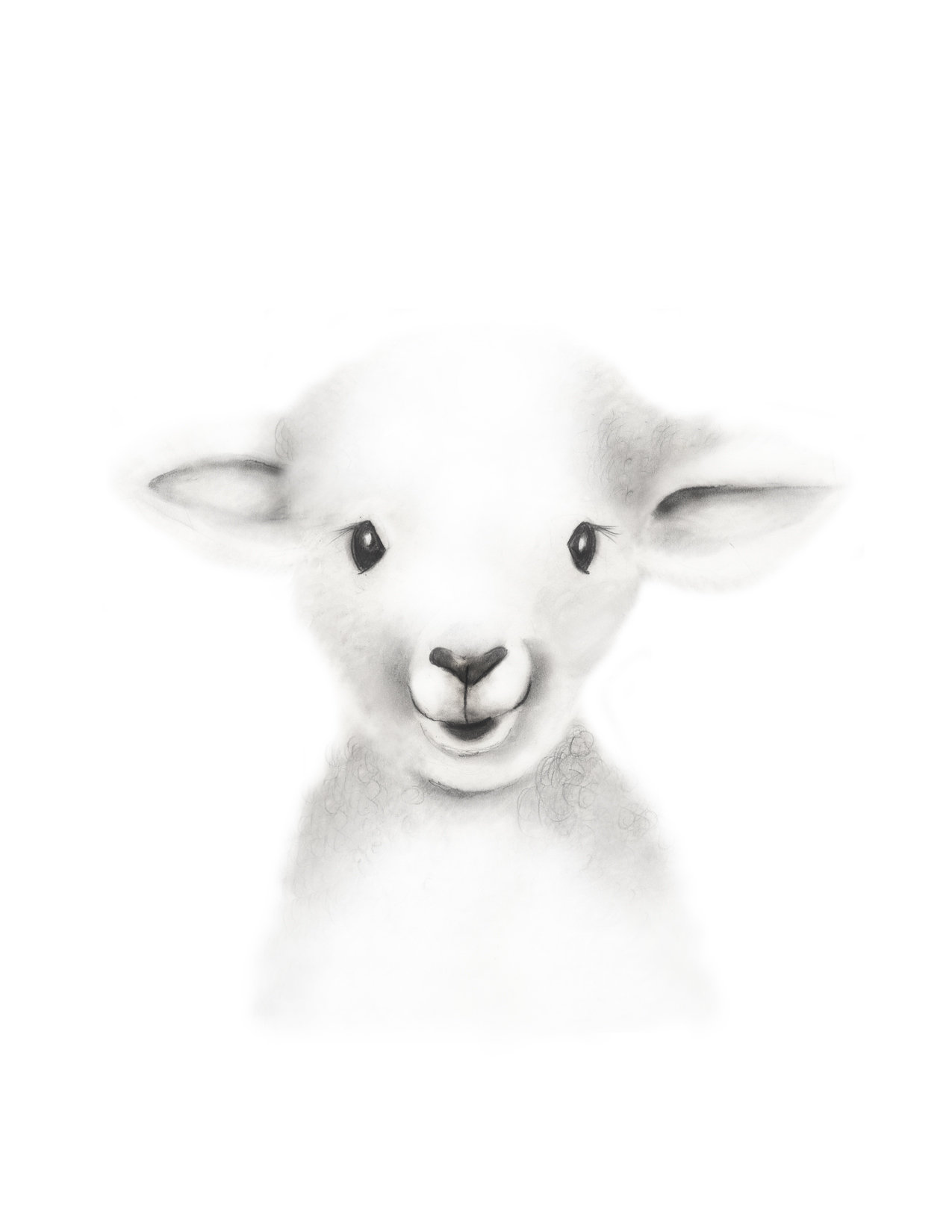 1275x1650 Lamb Nursery Art Pencil Drawing Baby Animal Face Farm Etsy - Lamb Drawing