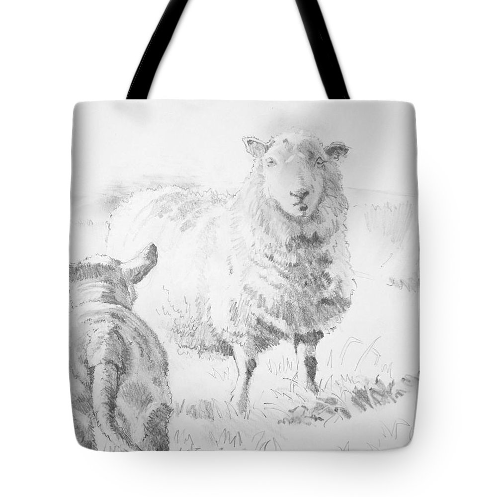 1000x1000 Sheep And Lamb Drawing Tote Bag For Sale - Lamb Drawing