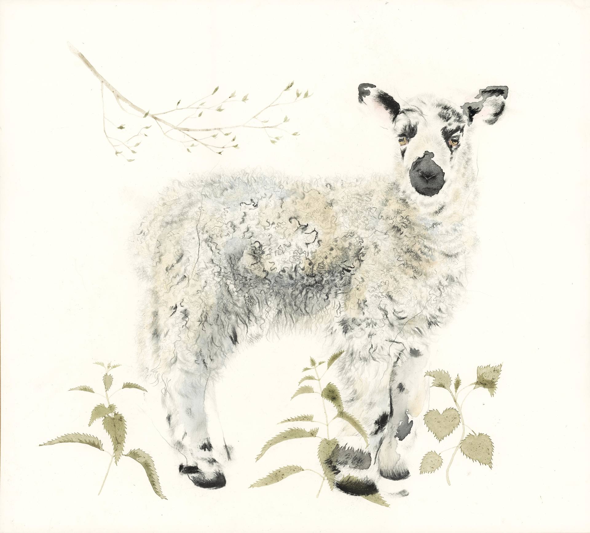 1920x1737 Spring Lamb Drawing - Lamb Drawing