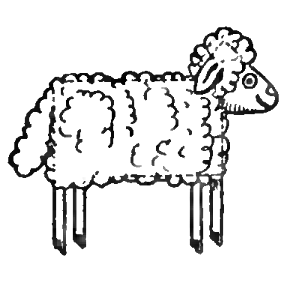 282x282 how to draw sheep lambs with easy drawing lesson - Lamb Drawing Images