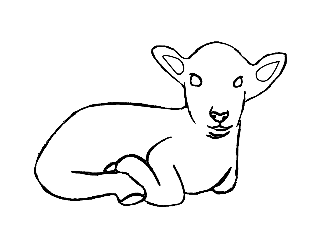 1100x850 Lamb - Lamb Drawing Images