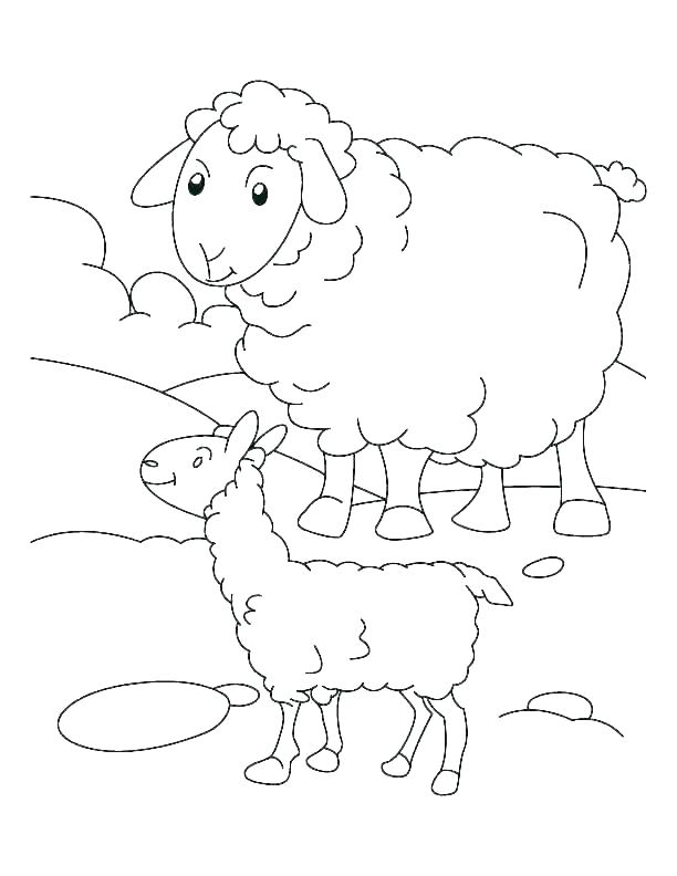 612x792 Lamb Drawing Outline Free Printable Easter Lamb Coloring Pages - Lamb Drawing Images