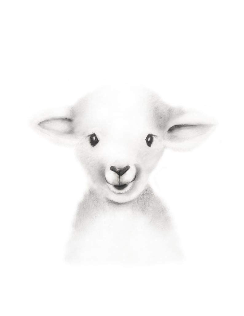 794x1028 Lamb Nursery Art Pencil Drawing Baby Animal Face Farm Etsy - Lamb Drawing Images