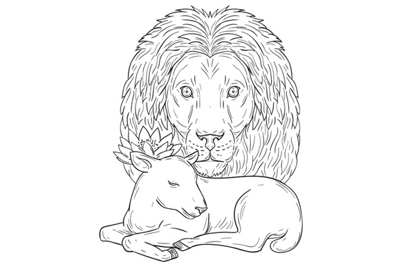 580x386 Lion Watching Over Sleeping Lamb Drawing - Lamb Drawing Images