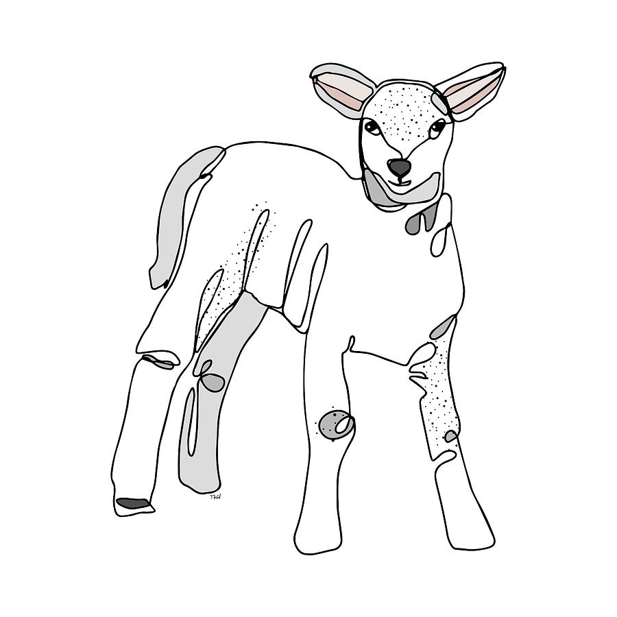 900x900 Line Lamb Digital Art - Lamb Line Drawing