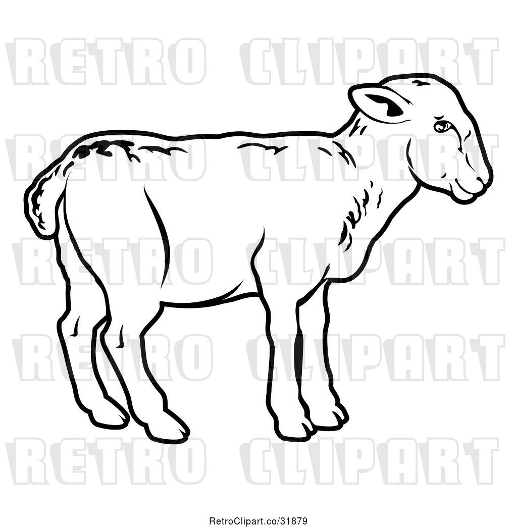 1024x1044 Vector Clip Art Of Retro Lamb In Profile - Lamb Line Drawing