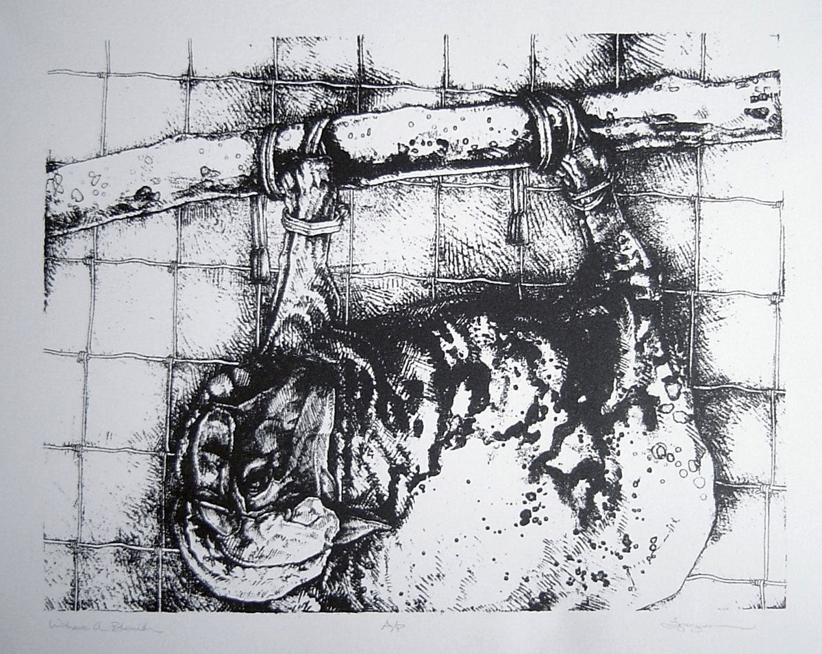 1200x955 Jesus Both Good Shepherd And Lamb Of God - Lamb Of God Drawing