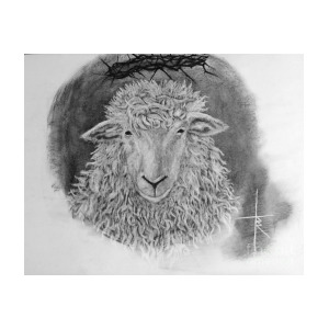 300x300 The Lamb Of God Drawing - Lamb Of God Drawing