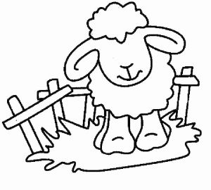 300x270 free coloring pages of lambs unique coloring pages sheep sheep - Lamb Outline Drawing