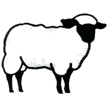 350x350 Lamb Outline Drawing At Free For Personal Use Pic Show Mebelmag - Lamb Outline Drawing
