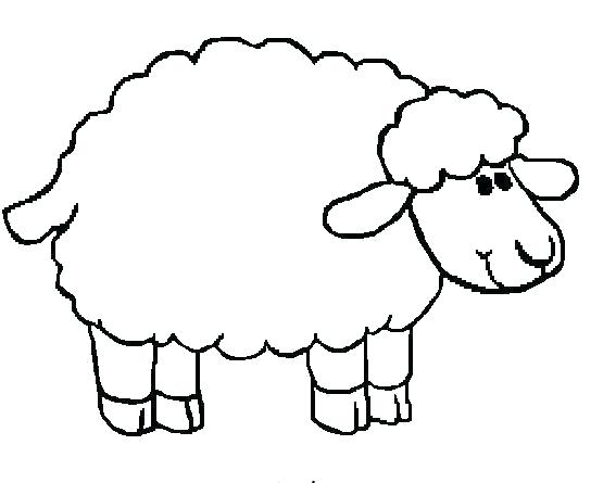 567x445 Lamb Outline Sheep Lamb Outline Drawing - Lamb Outline Drawing