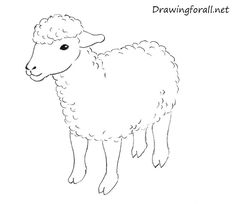 236x204 Sheep Outline Drawing Coloring Page - Lamb Outline Drawing