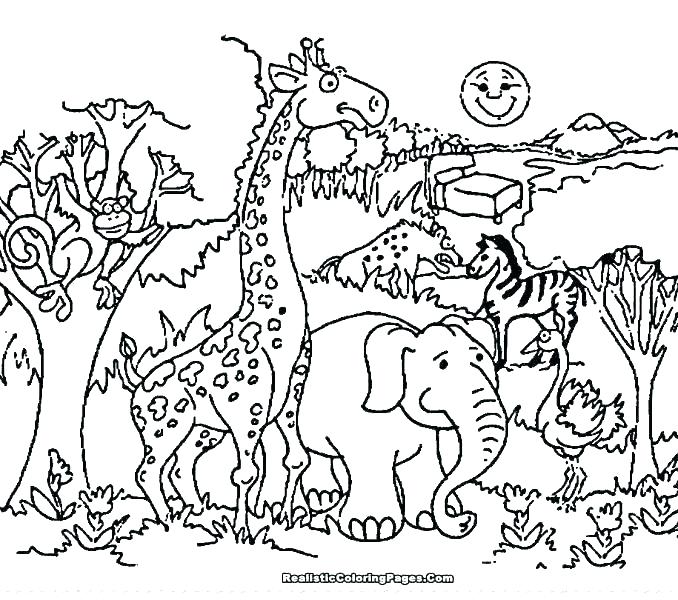 5100 Coloring Pages Of Land Animals Images & Pictures In HD