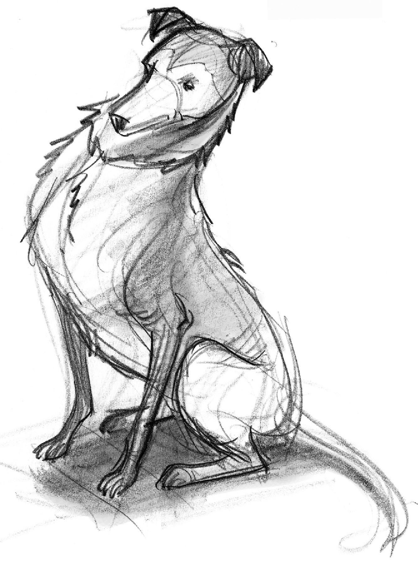 1333x1791 intermediate speed land animals proportions animal drawings - Land Animals Drawing