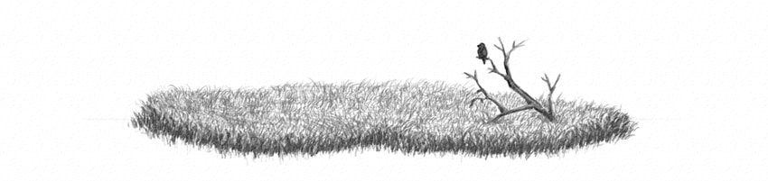 850x201 How To Draw Grass, Ground, And Rocks - Land Drawing