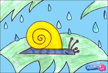 350x236 how to draw land snail - Land Drawing