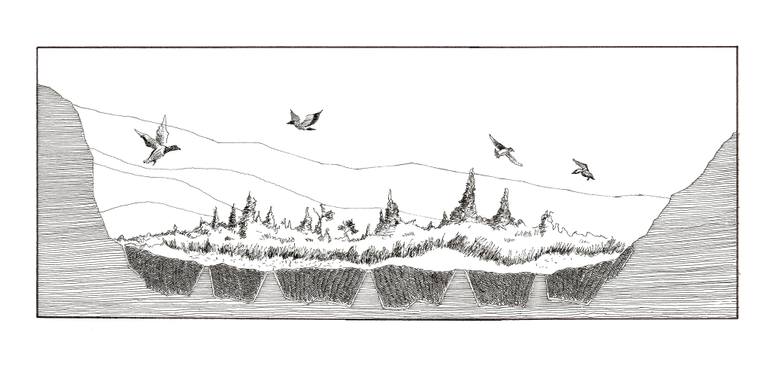 770x365 transformation of a landfill drawing - Landfill Drawing