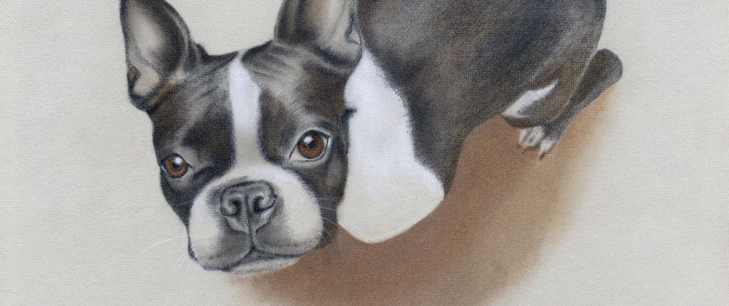 1500x630 landmark drawing illustration landmark drawing illustration - Landmark Drawing