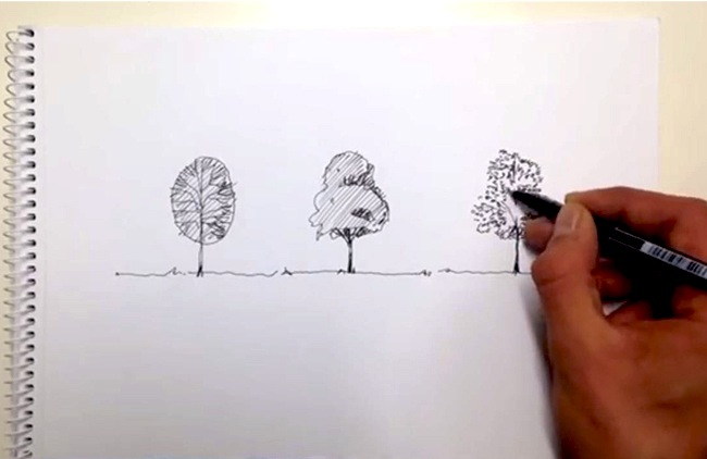 650x422 Top Youtube Tutorials For Drawing Trees Landscape - Landscape Architecture Drawing