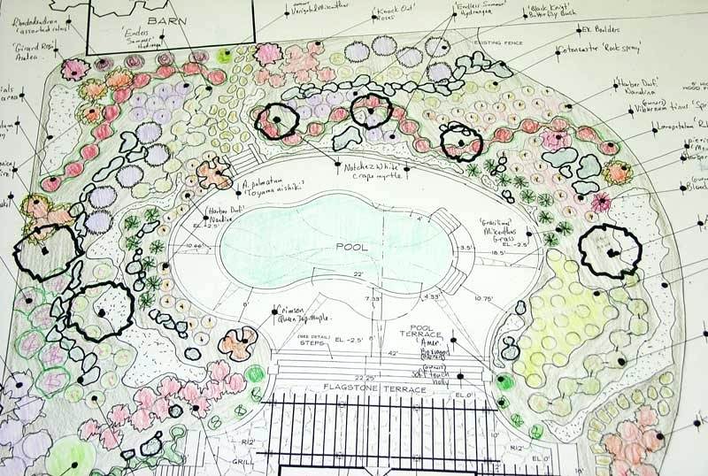 800x538 Landscape Design Drawings - Landscape Design Drawing