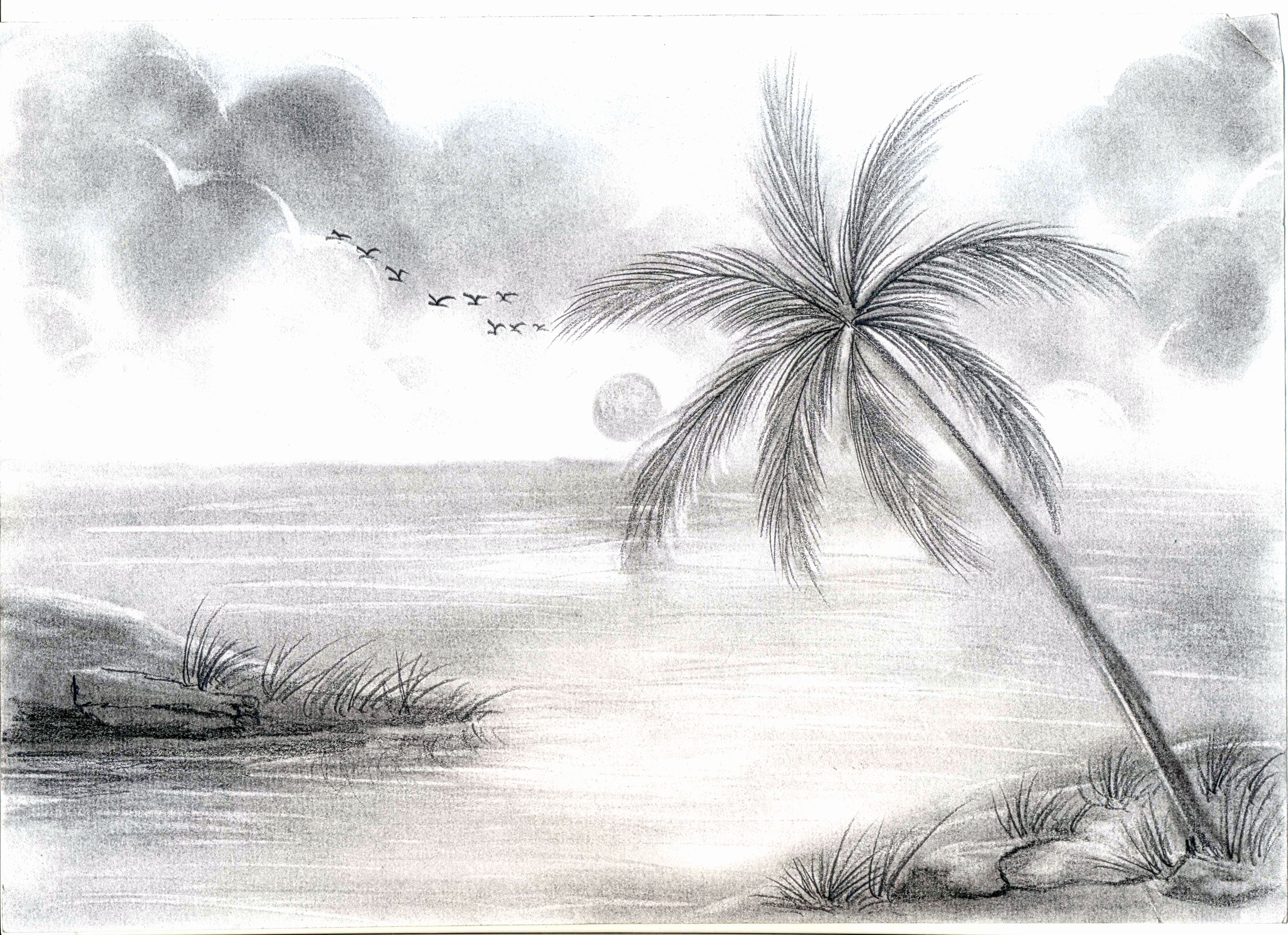 3510x2550 Landscape Drawing Ideas Awesome Nature Scenry Sketch Ideas Pencil - Landscape Drawing