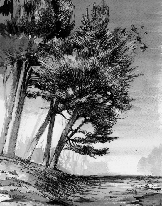 552x700 Landscape Drawings On Behance - Landscape Drawing