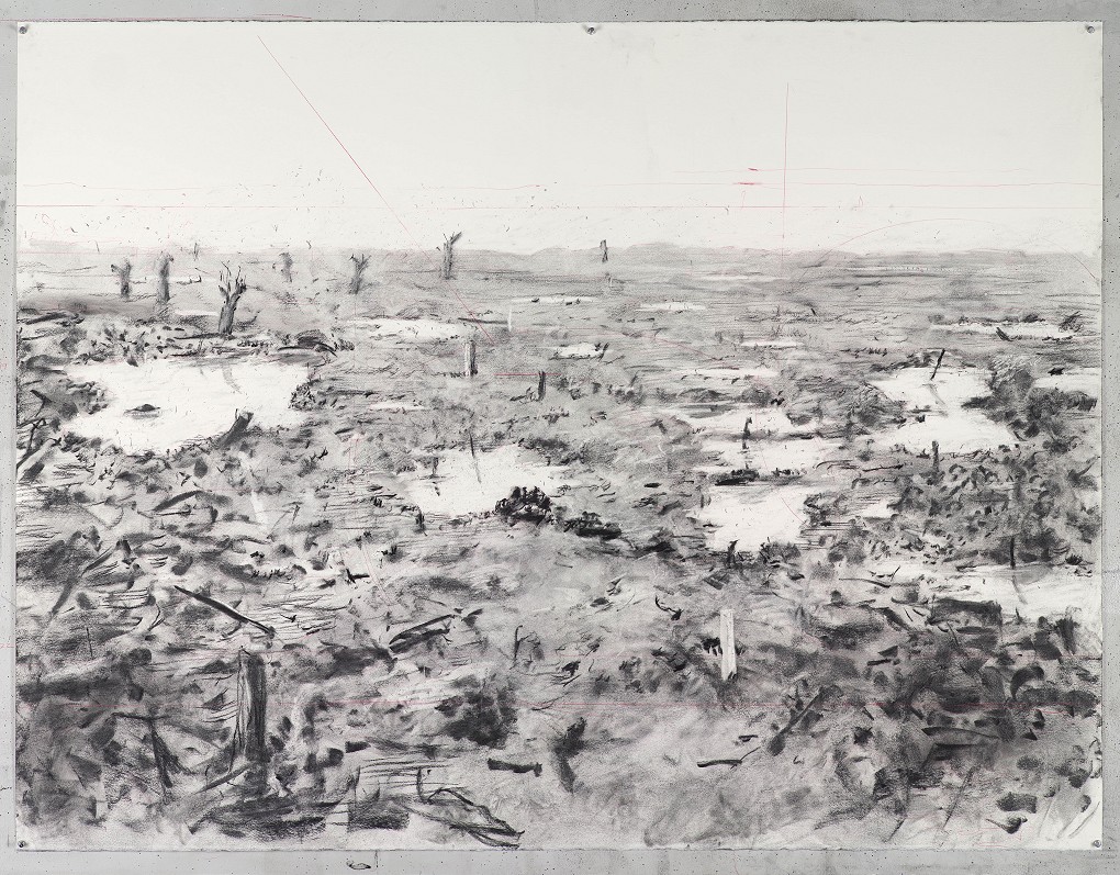 1020x797 goodman gallery artists show - Landscape Drawing Artists