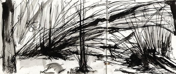 590x250 How To Add Life To Landscapes And Illustrations - Landscape Drawing Artists