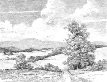 355x271 Landscape Outline Drawing Phil Metzger - Landscape Drawing Artists