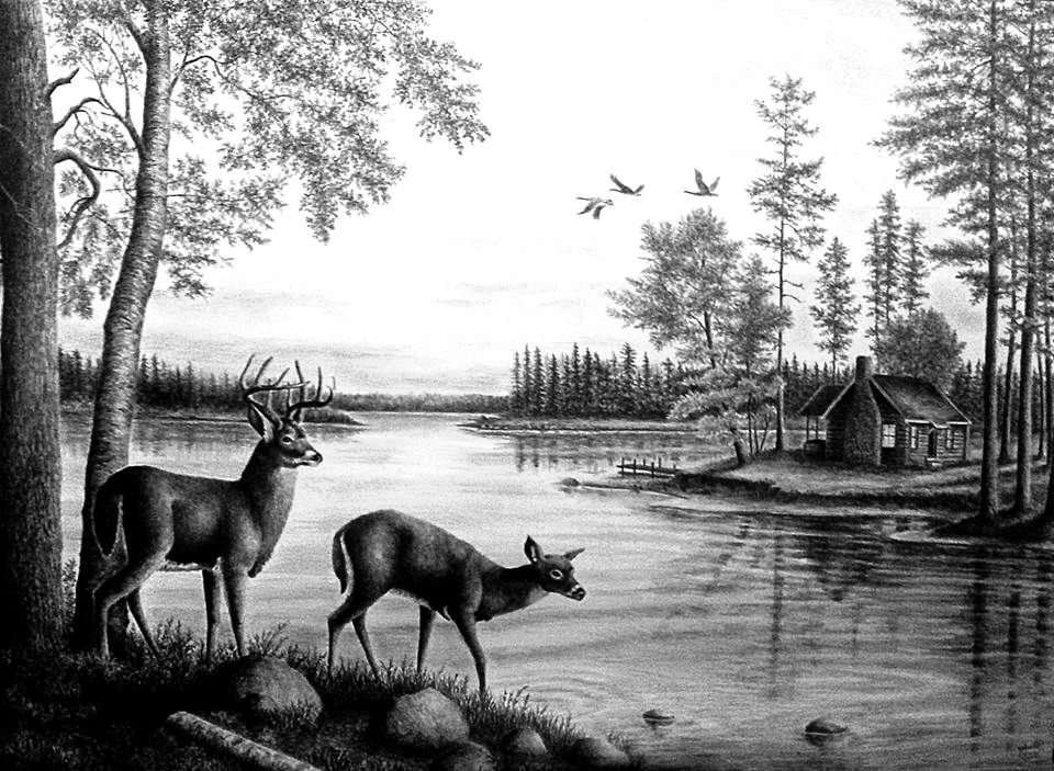 old animals in landscape drawings