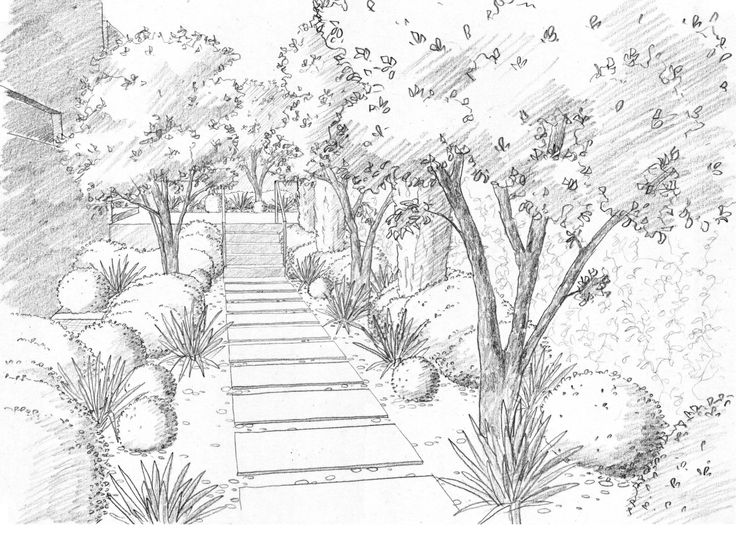 736x543 Drawing Ideas Wallpapers Gallery For Gt Landscape Line Drawing - Landscape Line Drawing