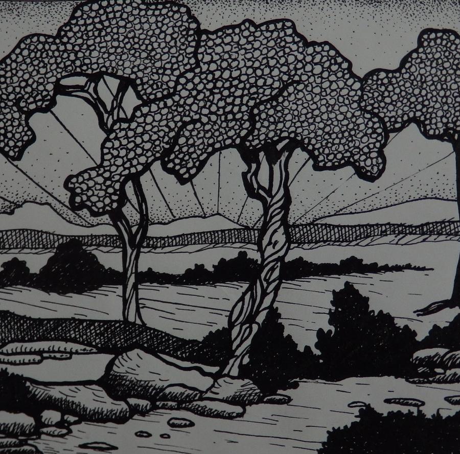 900x888 Landscape, Pen And Ink Drawing - Landscape Pen Drawing