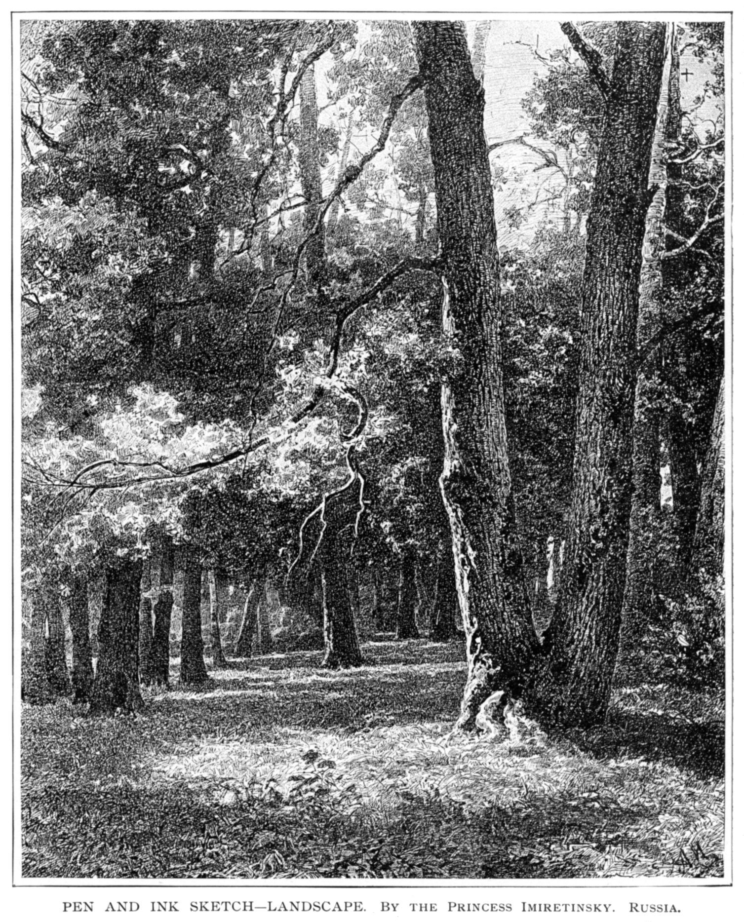 1507x1868 Pen And Ink Sketch Landscape - Landscape Pen Drawing