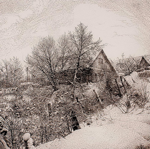 500x497 Beauty Will Save The World - Landscape Pen Drawing