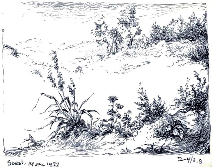 700x552 Dulieu, Jean - Landscape Pen Drawing