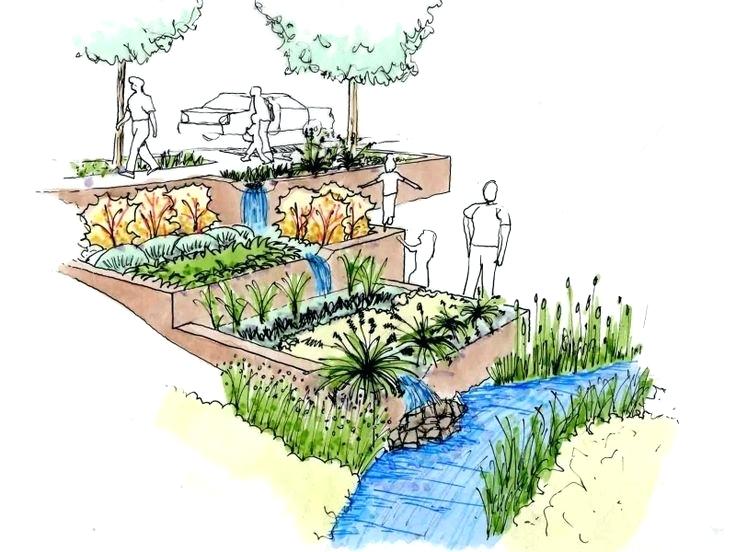 736x552 Landscape Architecture Section Drawings - Landscape Section Drawing