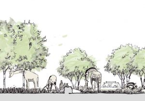 300x210 section drawings landscape landscape section drawing landscape - Landscape Section Drawing