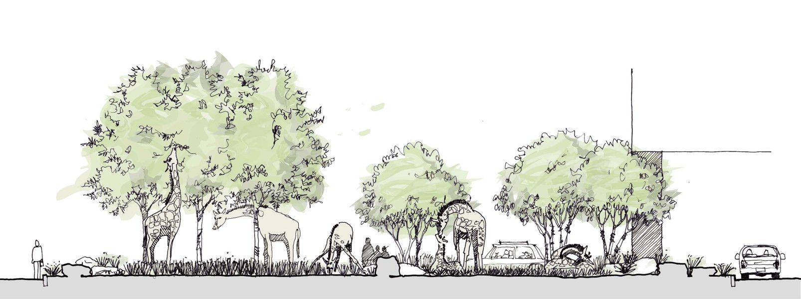 1606x600 Landscape Architecture Section - Landscape Section Drawing