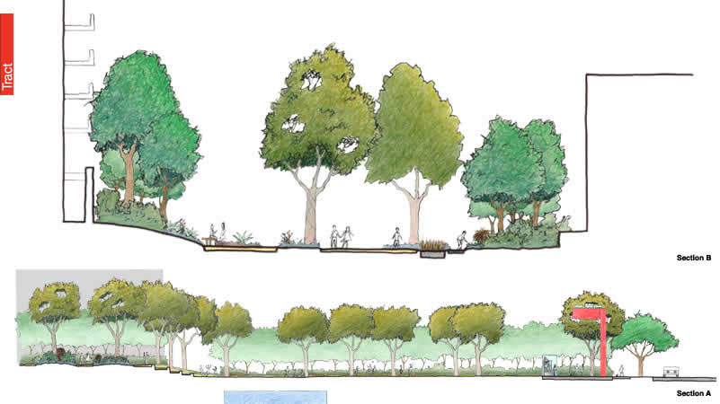 801x450 Landscape Design - Landscape Section Drawing