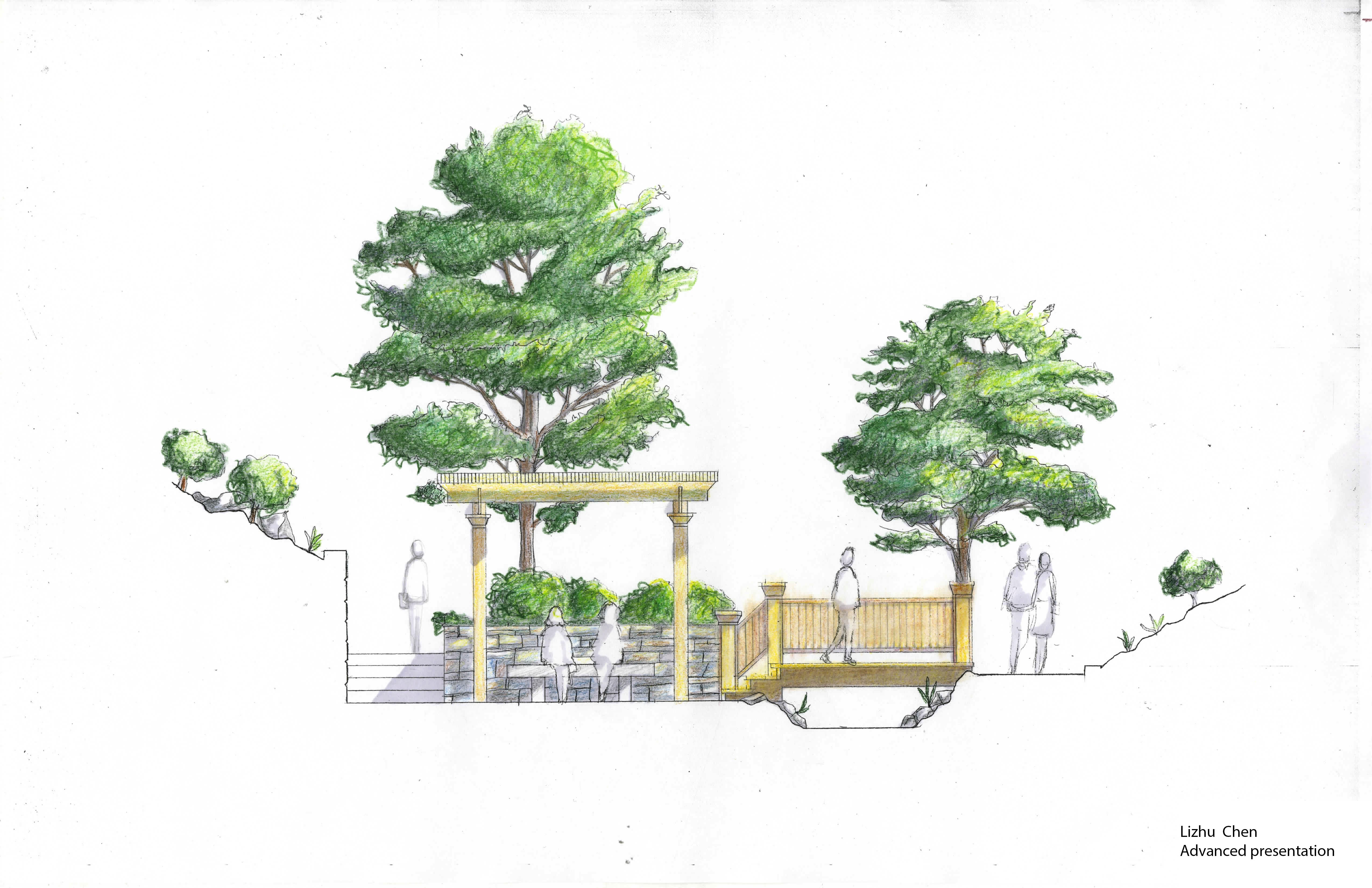 5100x3300 Architecture Drawing Of Trees Landscape Architecture Section - Landscape Section Drawing