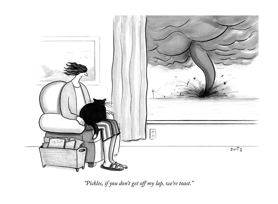 900x662 pickles if you do not get off my lap we are toast drawing - Lap Drawing